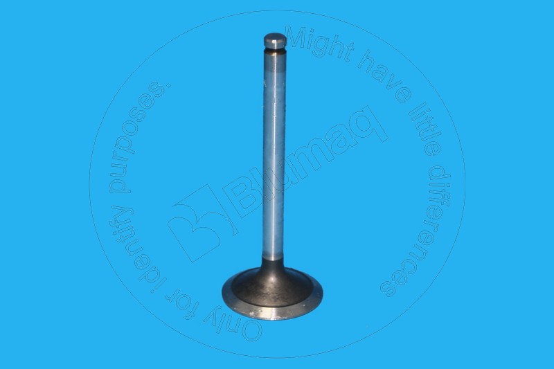 100-4626 Intake Valve for BLUMAQ