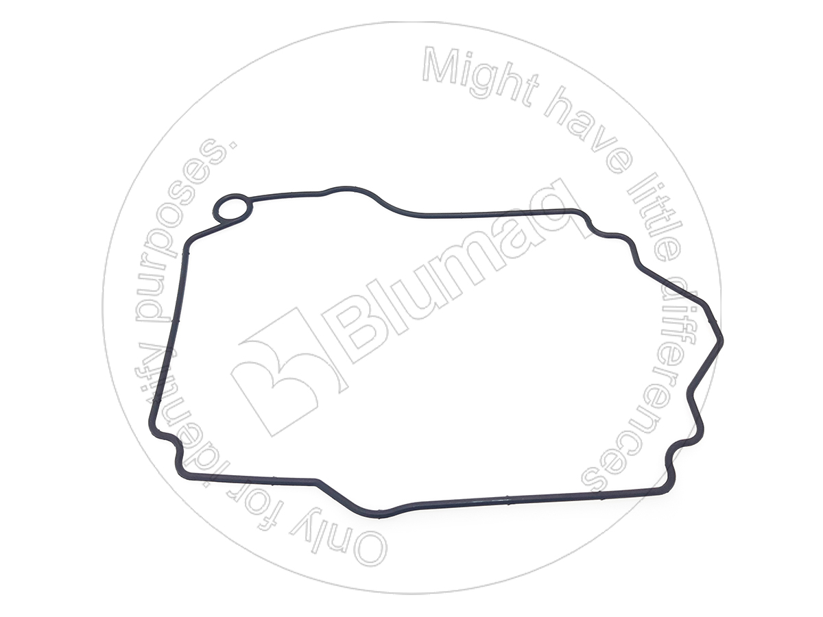 117-9315 Seal for BLUMAQ