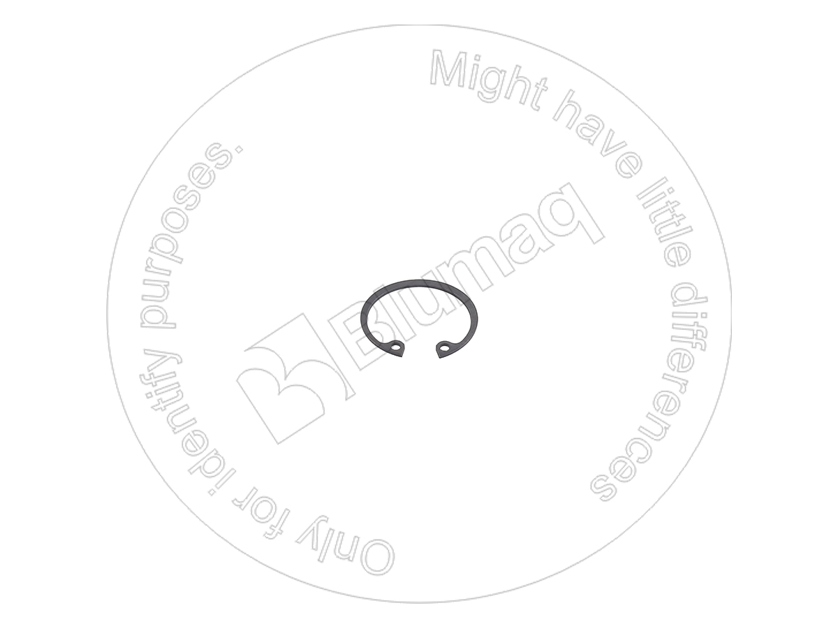 YM22252-000320 Snap Ring for BLUMAQ