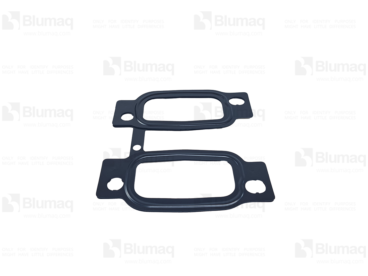 035.372 Gasket for BLUMAQ