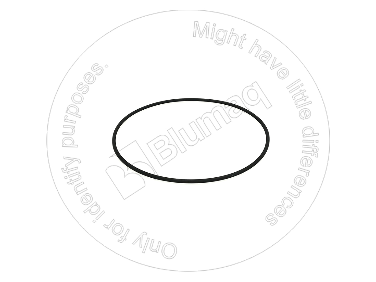 CS70923825 CASE Seal O-ring