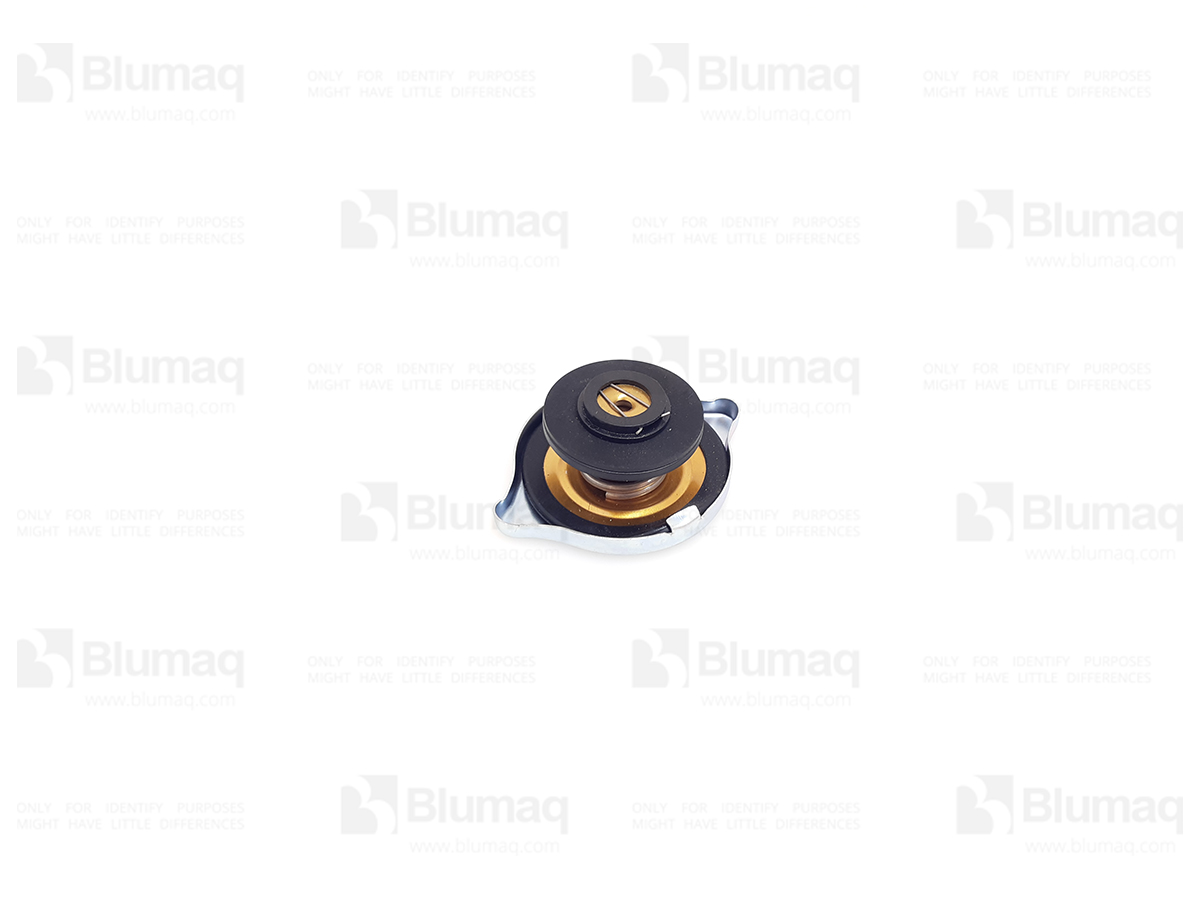 294-3342 Cap for BLUMAQ