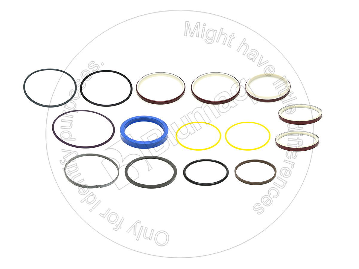 900.02225 Hydraulic Seal Kit for BLUMAQ