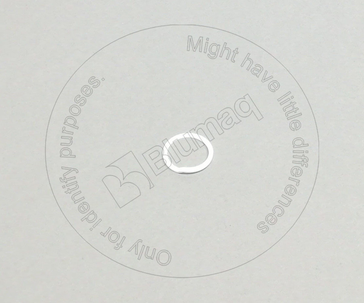 951784 Back-up Ring