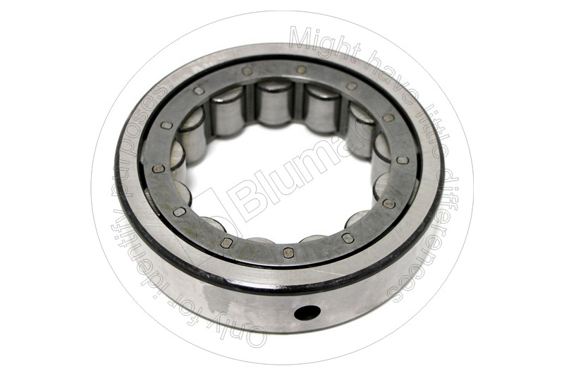 6V-1013 Bearing for BLUMAQ