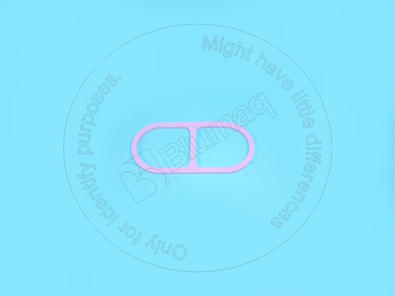 032.170 Gasket for BLUMAQ