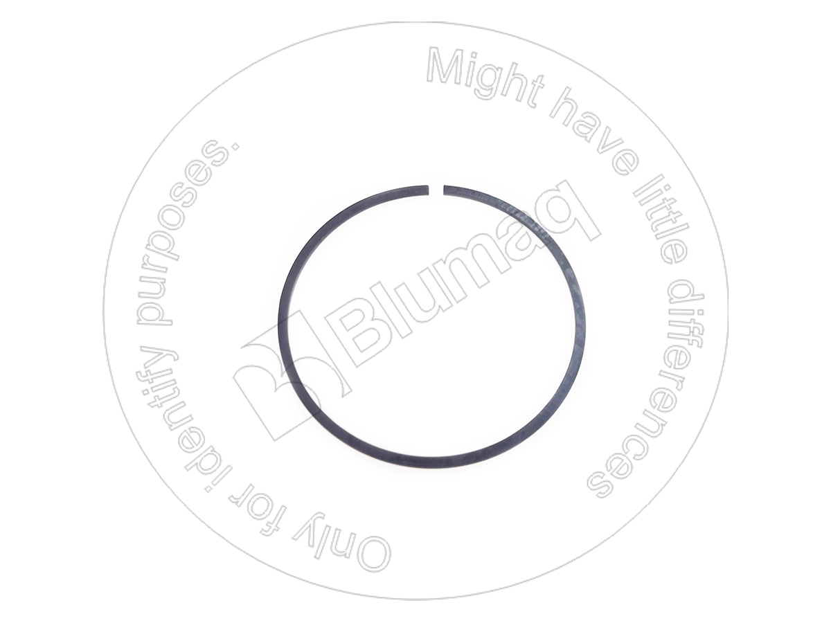 093-1729 Snap Ring for BLUMAQ