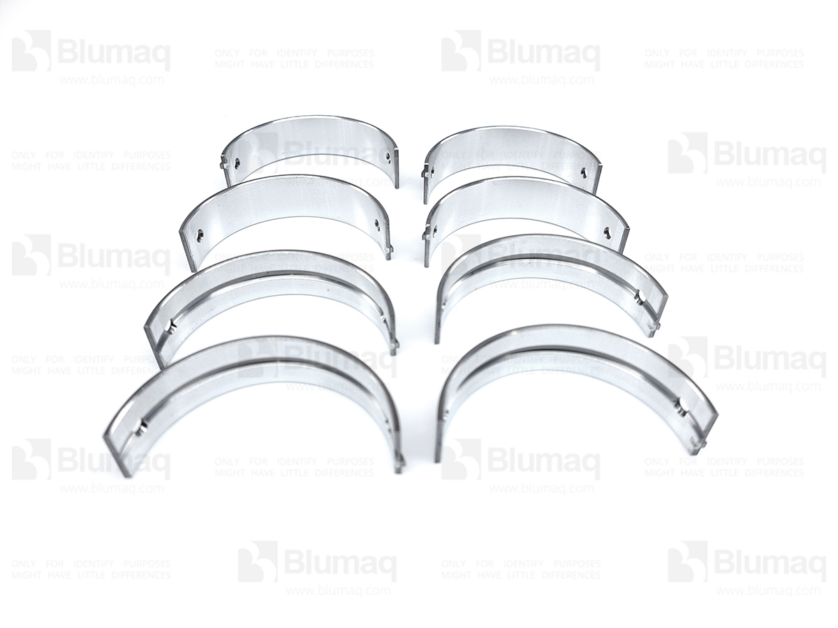 599-8880 Main Bearing Set for BLUMAQ