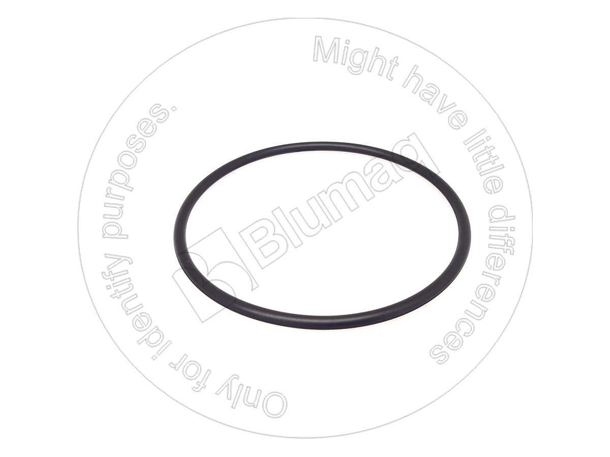 900.01631 Seal O-ring for BLUMAQ
