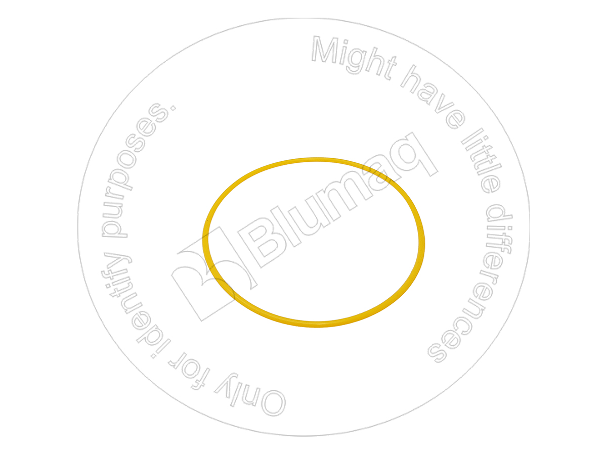 CS238-7255 Seal O-ring for BLUMAQ