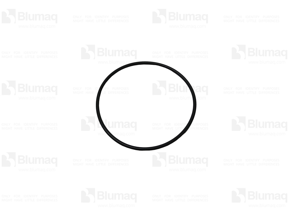 JC10/907516 Seal O-ring for BLUMAQ