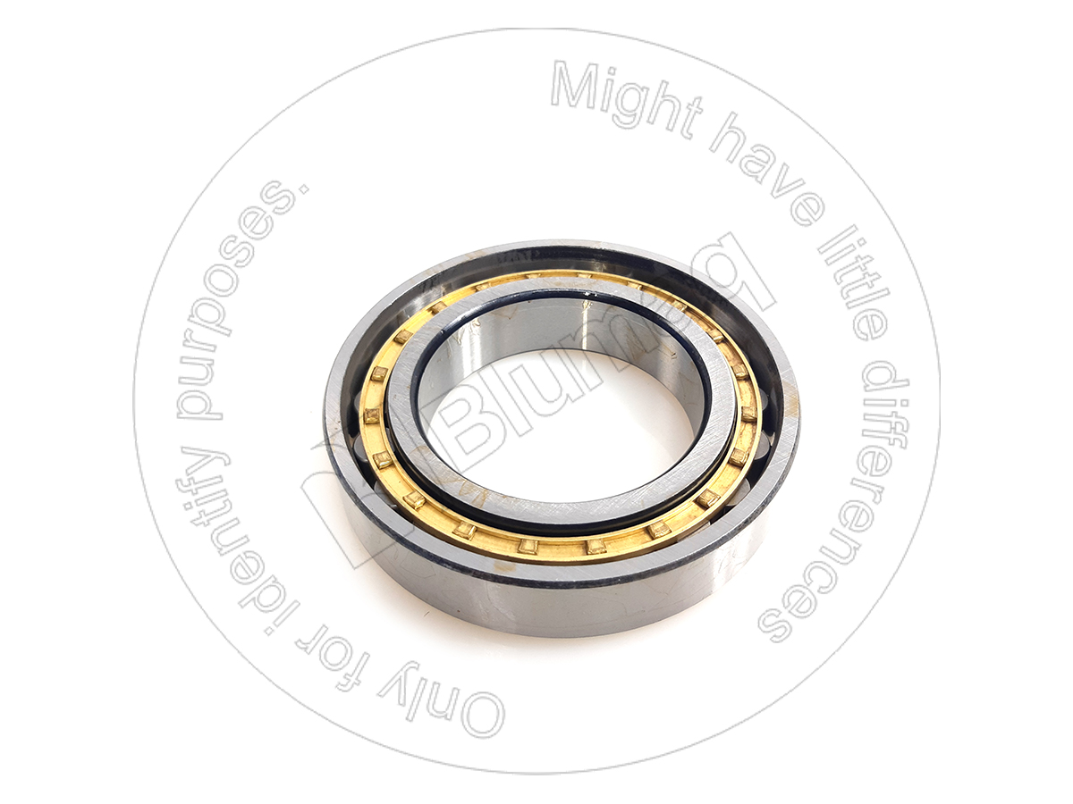 06041-01011 Bearing for BLUMAQ