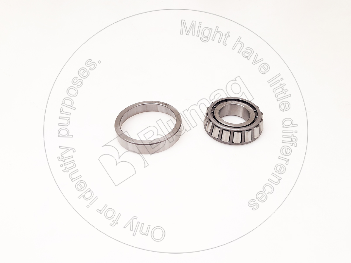30310 Bearing for BLUMAQ