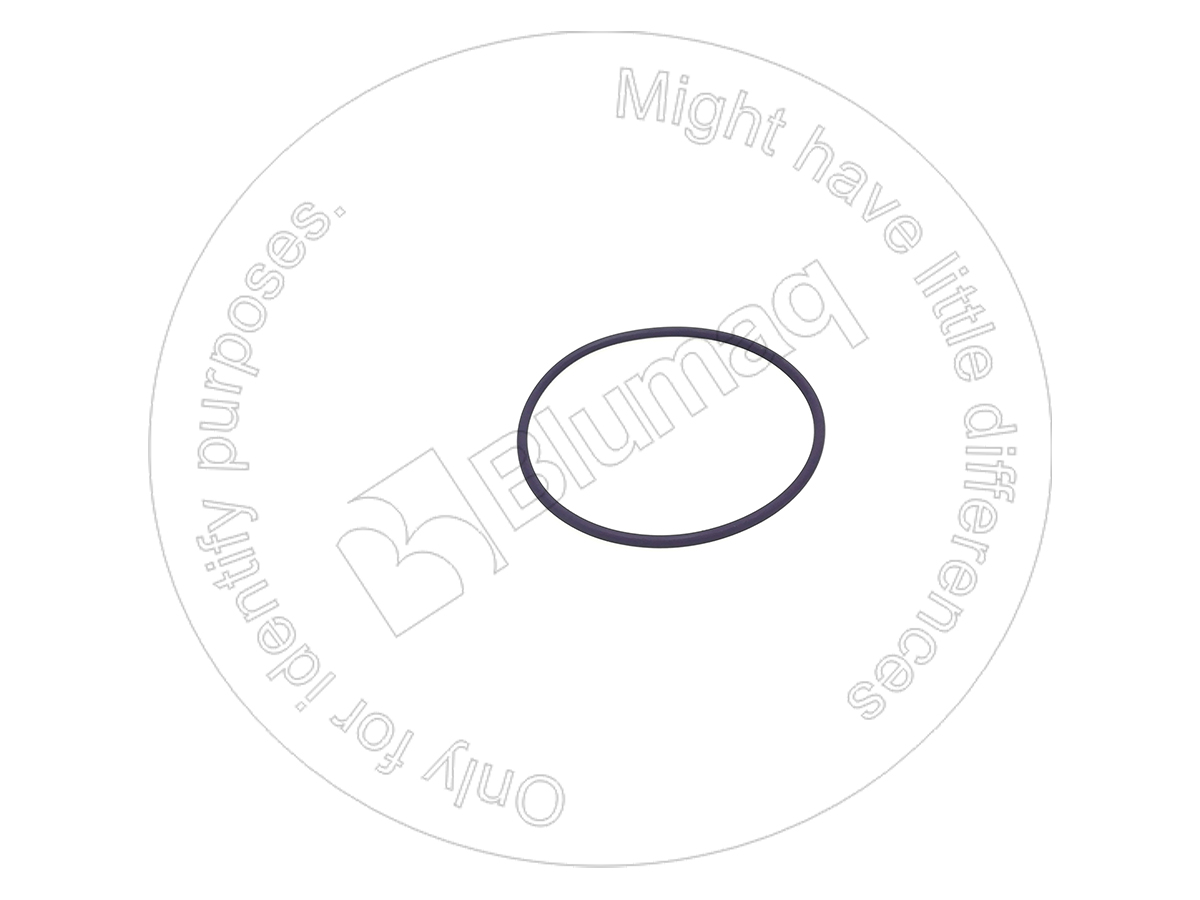 115.974 Seal O-ring for BLUMAQ
