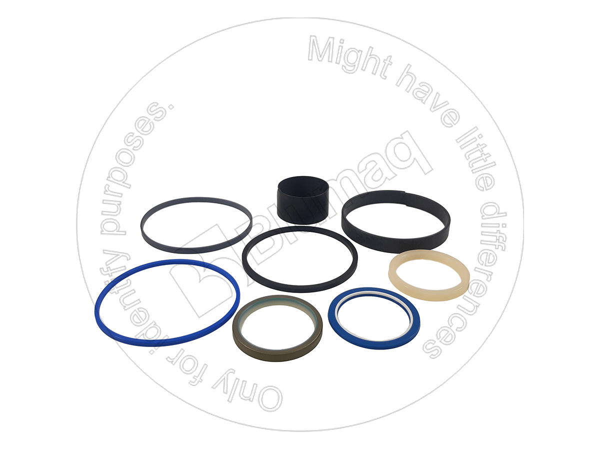 CSG110706 CASE Hydraulic Seal Kit