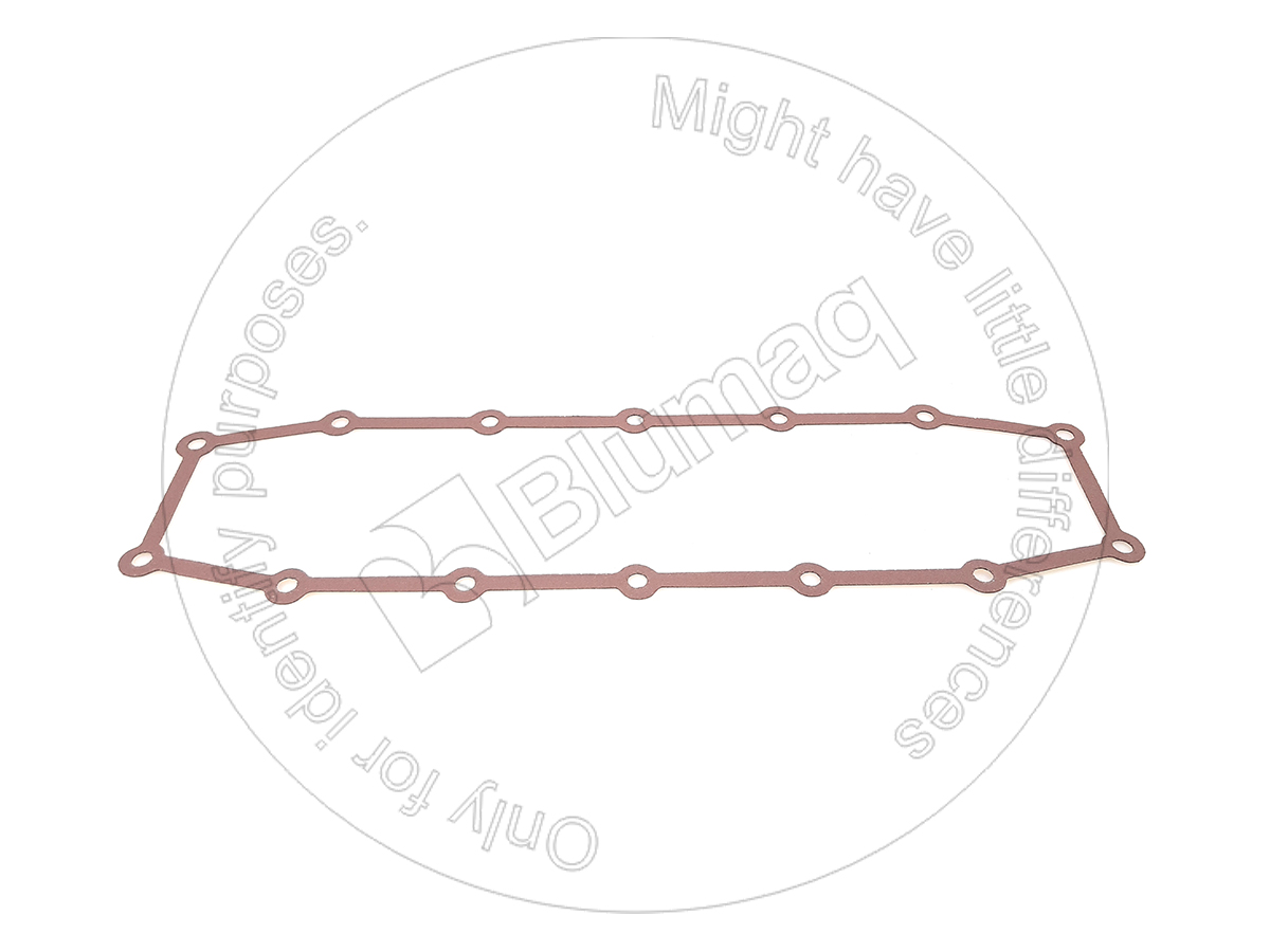 6218-11-4220 Gasket for BLUMAQ