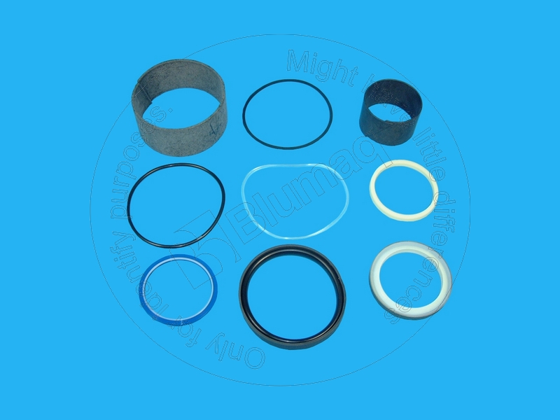 193-9261 BLUMAQ Hydraulic Seal Kit