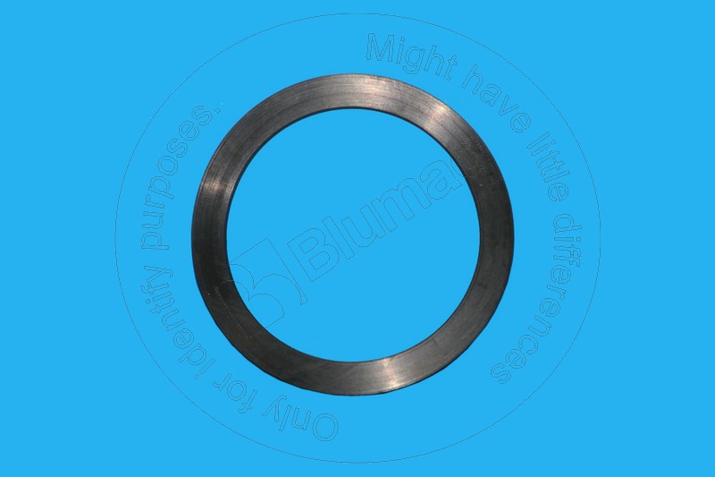 3D-6677 Gasket
