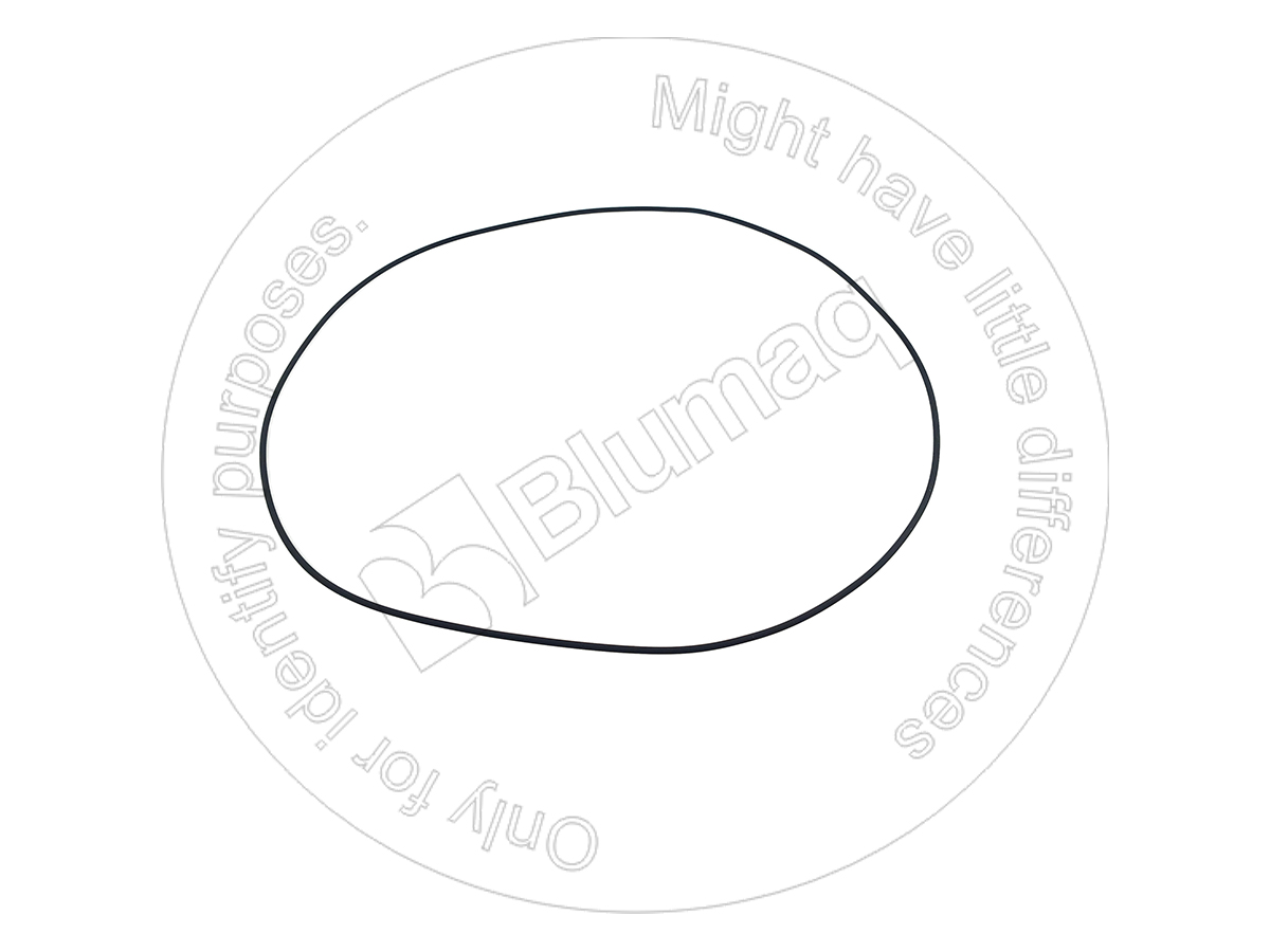 201-3321 Seal O-ring for BLUMAQ