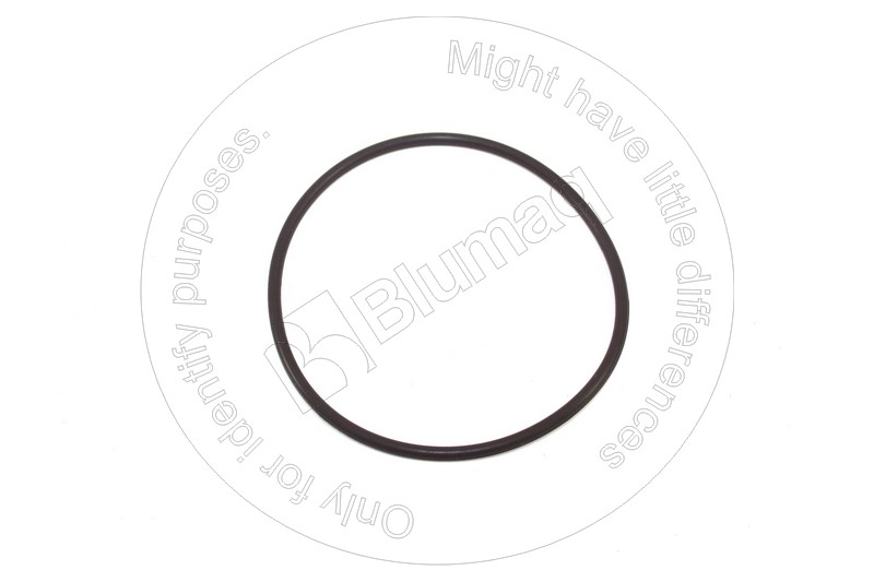 6V-8002 Seal O-ring for BLUMAQ