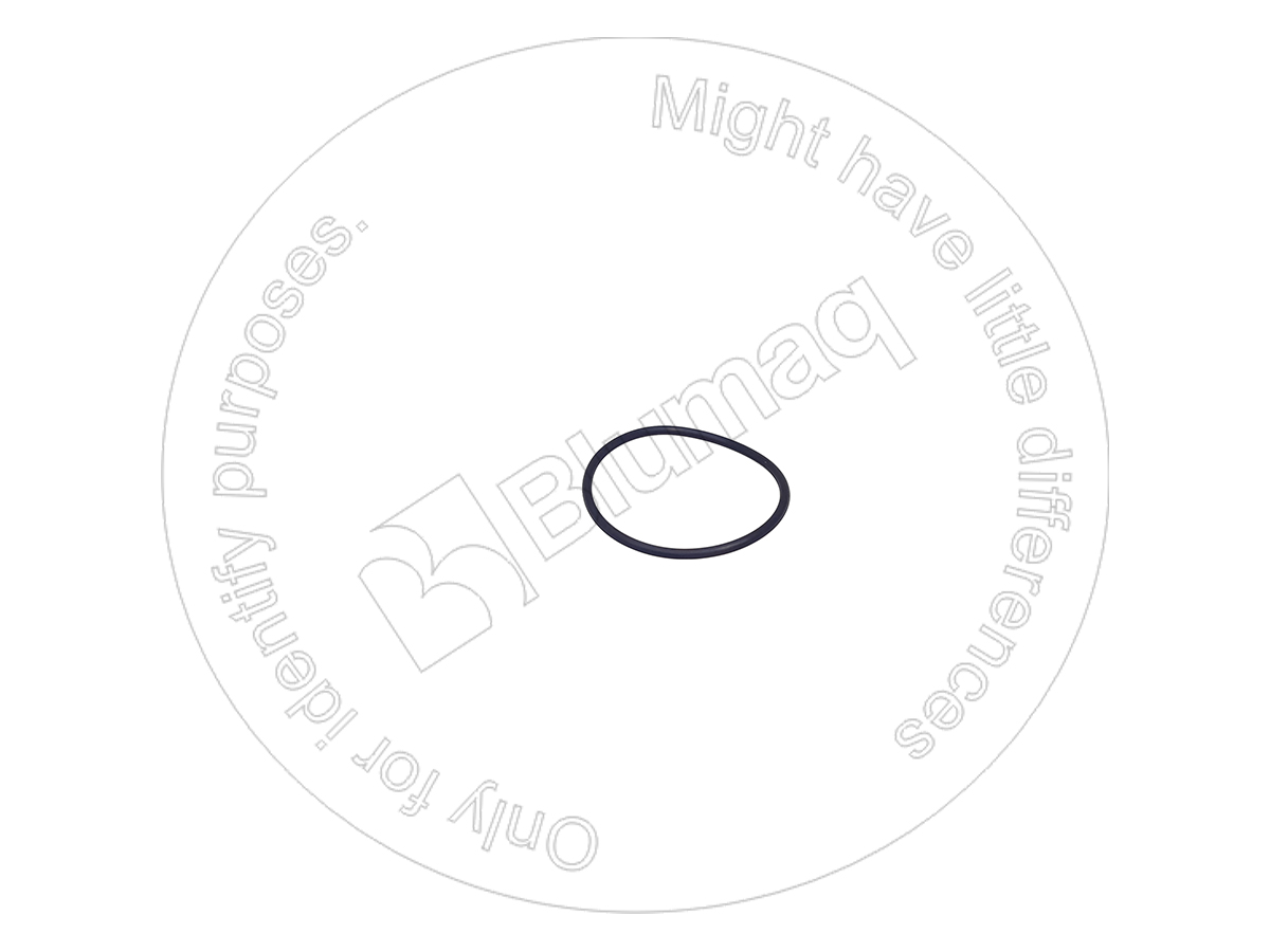 6V-5139 Seal O-ring for BLUMAQ