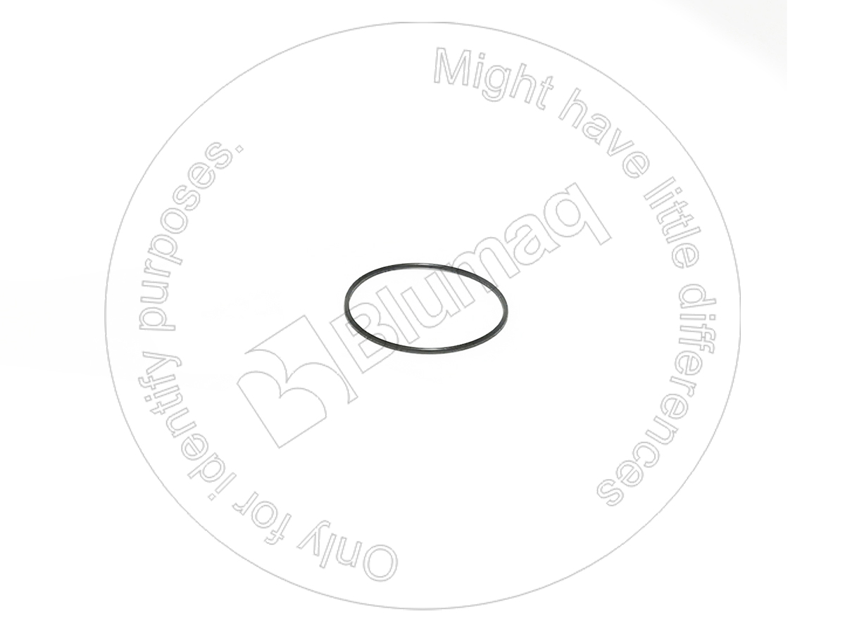 CS-87016953 Seal O-ring for CASE
