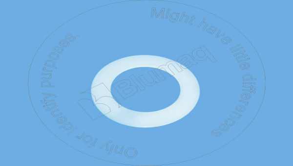 900.00683 Washer for BLUMAQ