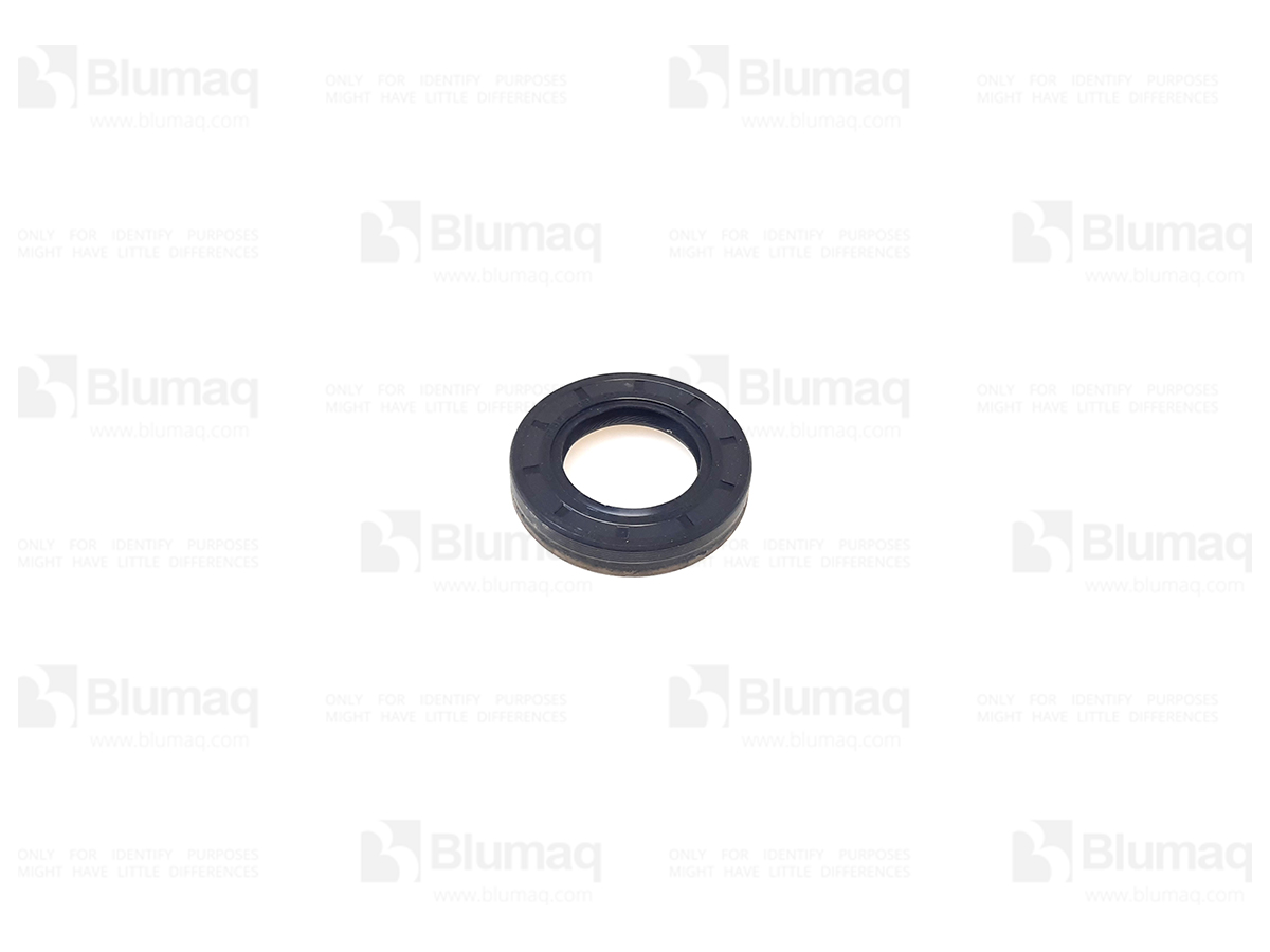 031.306 Seal for BLUMAQ