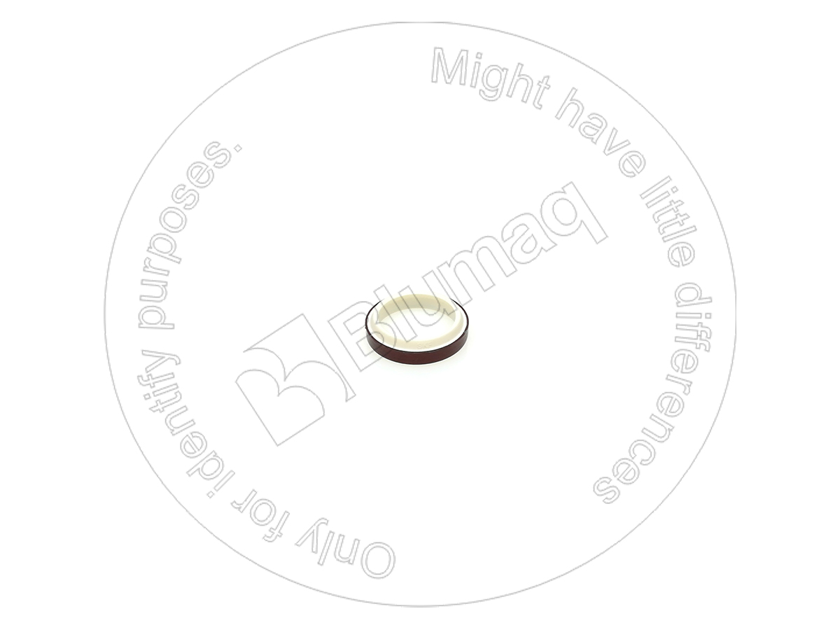 PA35X45X7X10 Wiper Seal for BLUMAQ