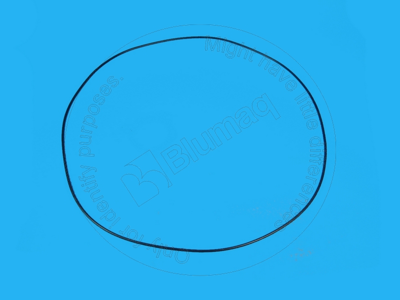 078-5429 Seal O-ring