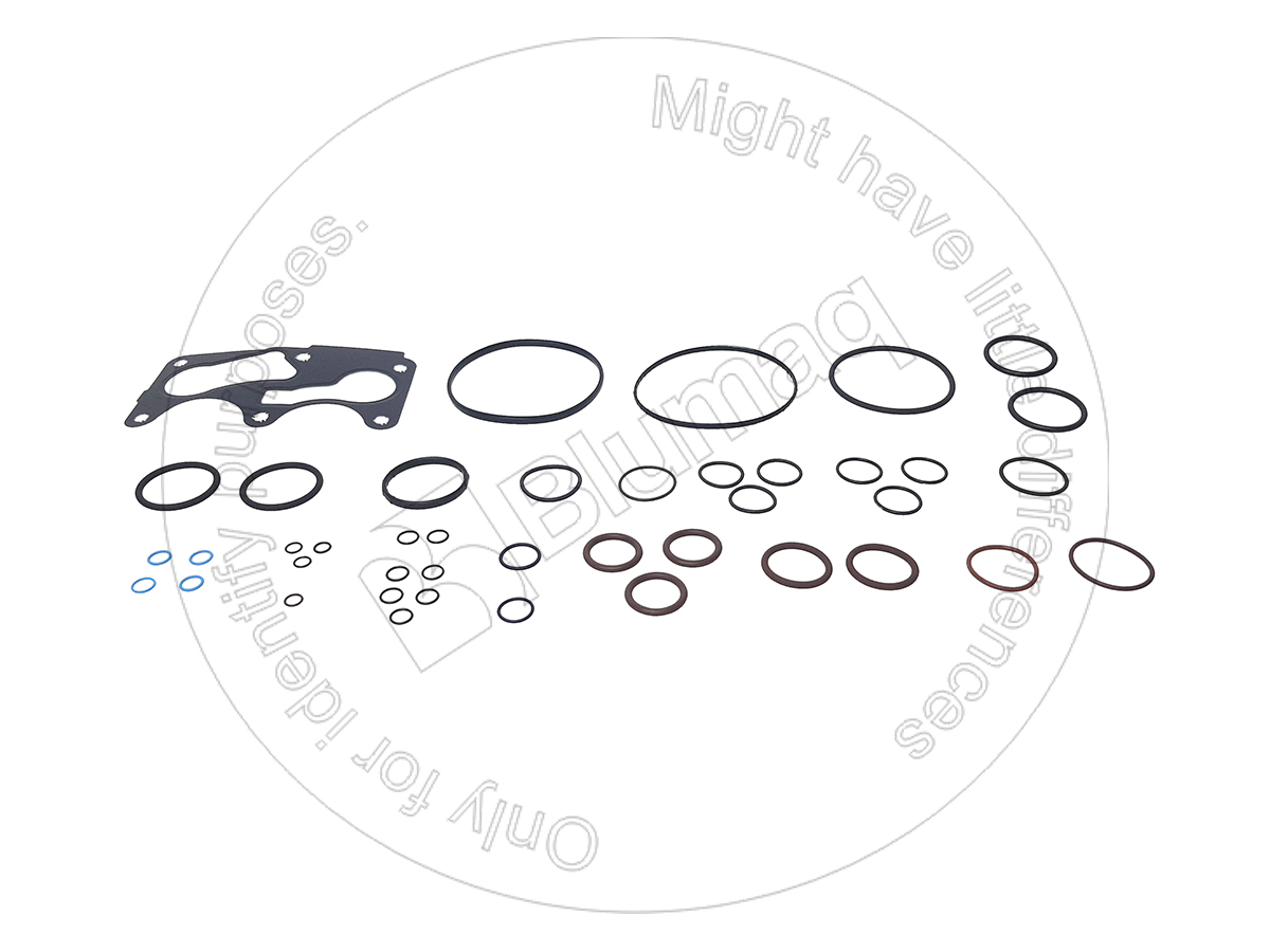 466-3814 Gasket Kit for BLUMAQ