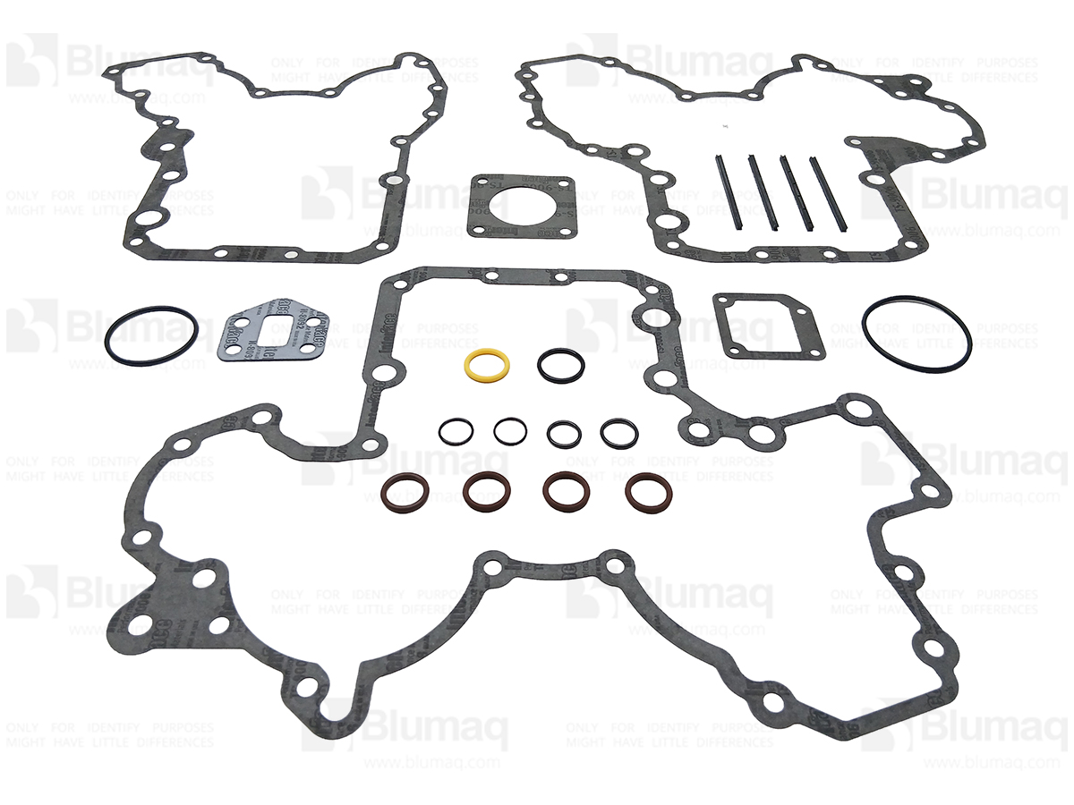 173-1339 Gasket Kit for BLUMAQ