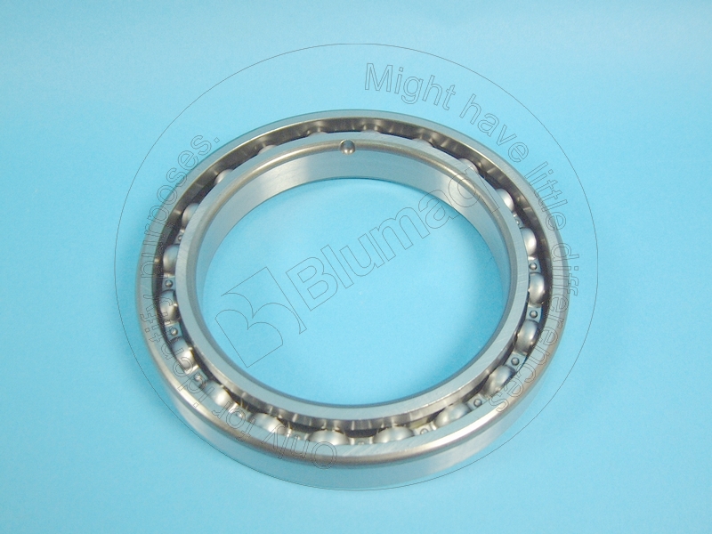 5P-5045 Bearing for BLUMAQ