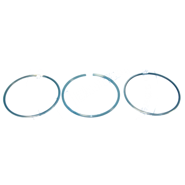 901.00316 Piston Ring Kit for VARIOS