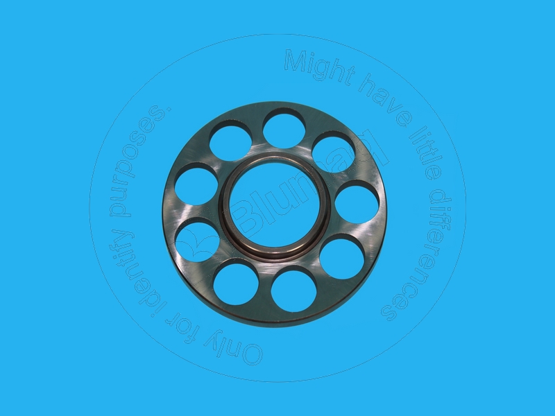 259-5503 Plate