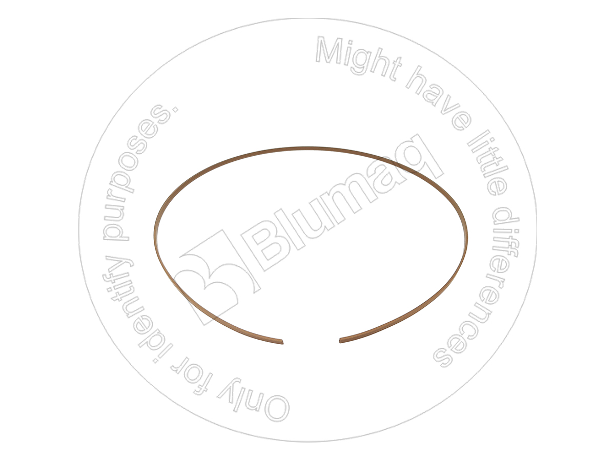 CS8603580 Ring