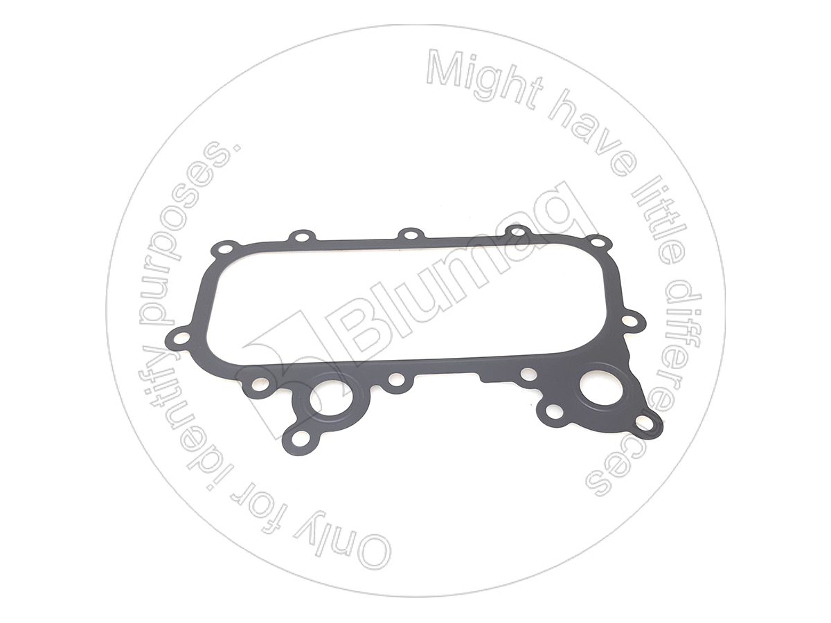 319-9366 Gasket for BLUMAQ