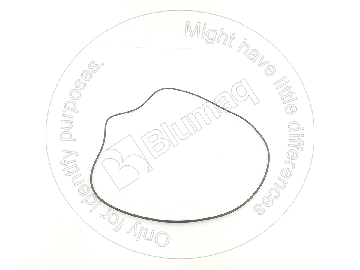 VO11701192 Seal O-ring for BLUMAQ