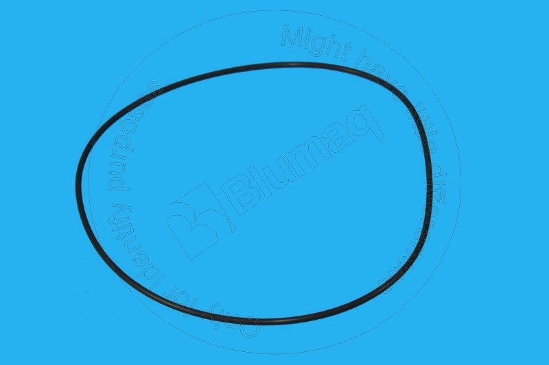 227-5538 Seal O-ring for BLUMAQ