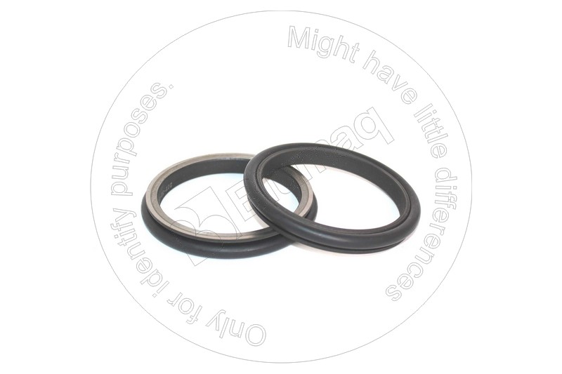 20R-30-00080 Seal Gp. Duo-cone for BLUMAQ