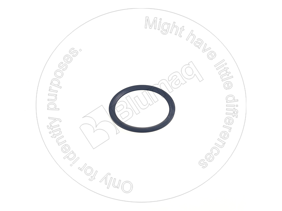 900.02080 Seal for BLUMAQ