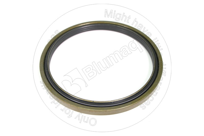 CS4921075 Shaft Seal
