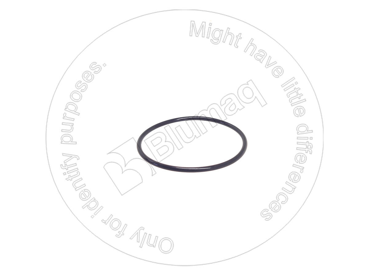 900.02118 Seal O-ring for BLUMAQ