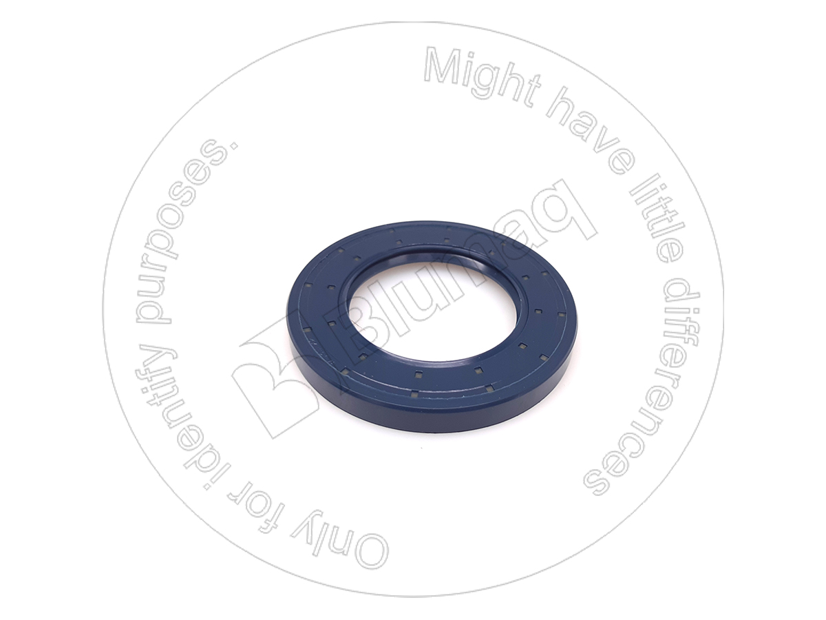 CS85807511 Seal