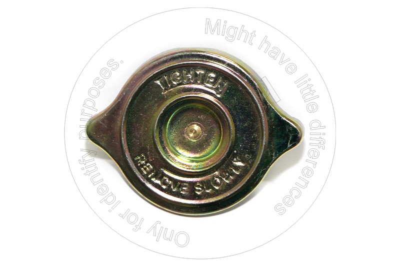 184-3949 Cap for BLUMAQ