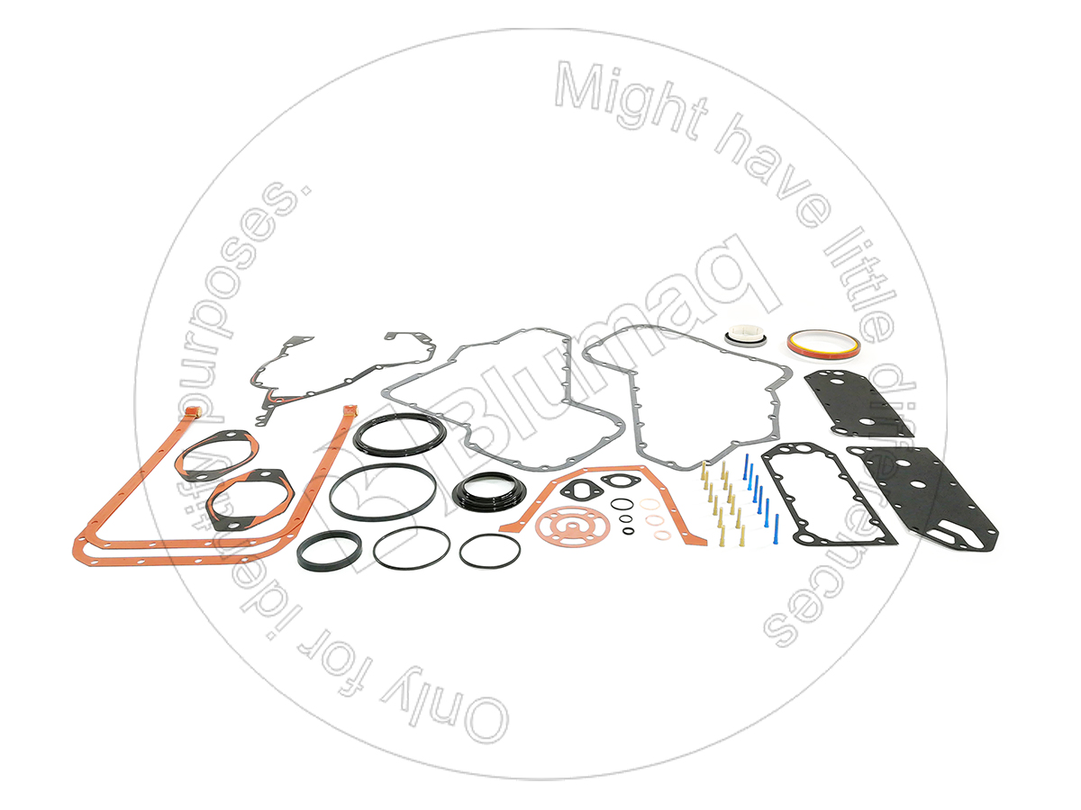 08-41455-01 Gasket Kit for BLUMAQ