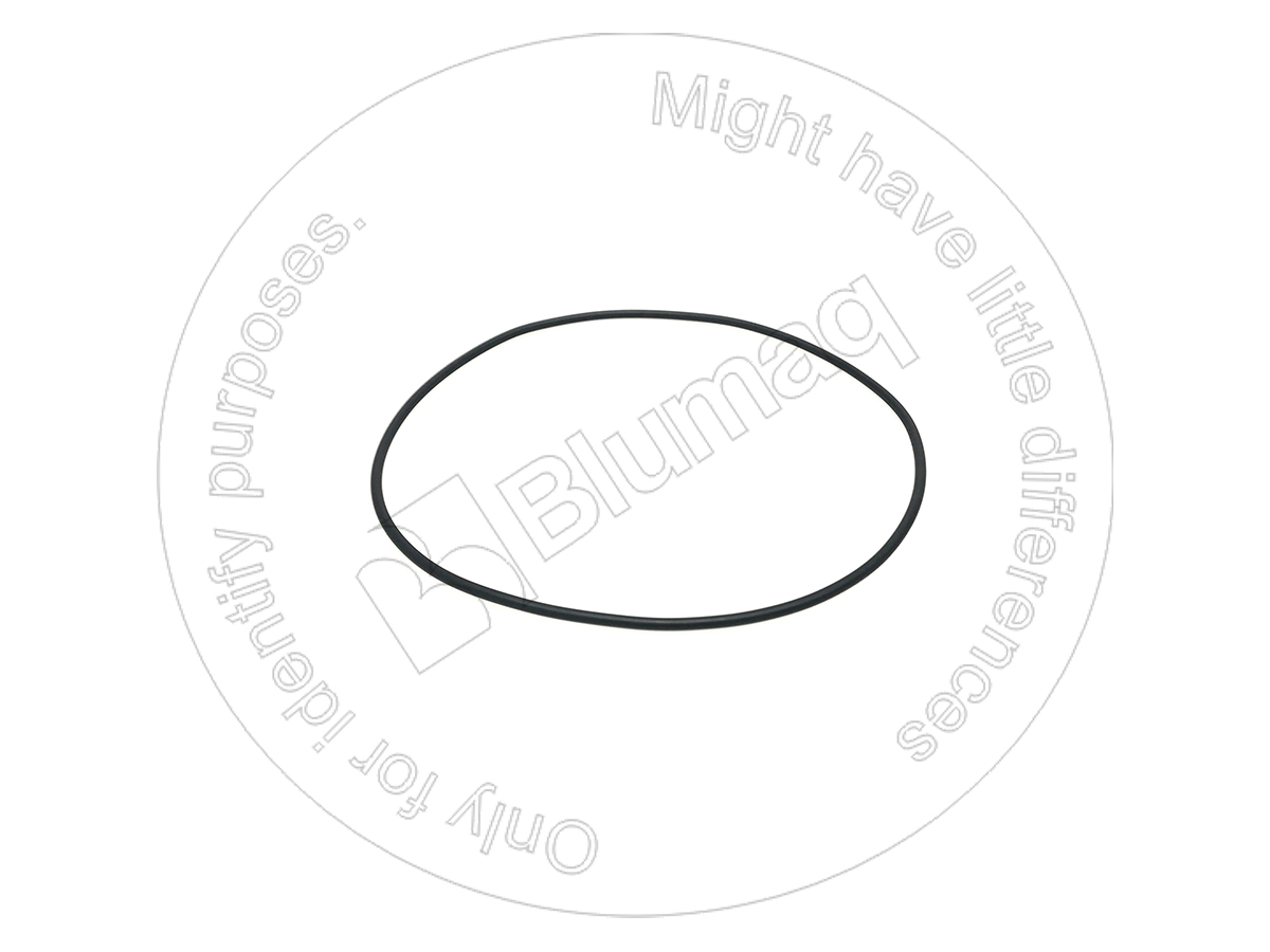 CS238-5261 Seal O-ring for BLUMAQ