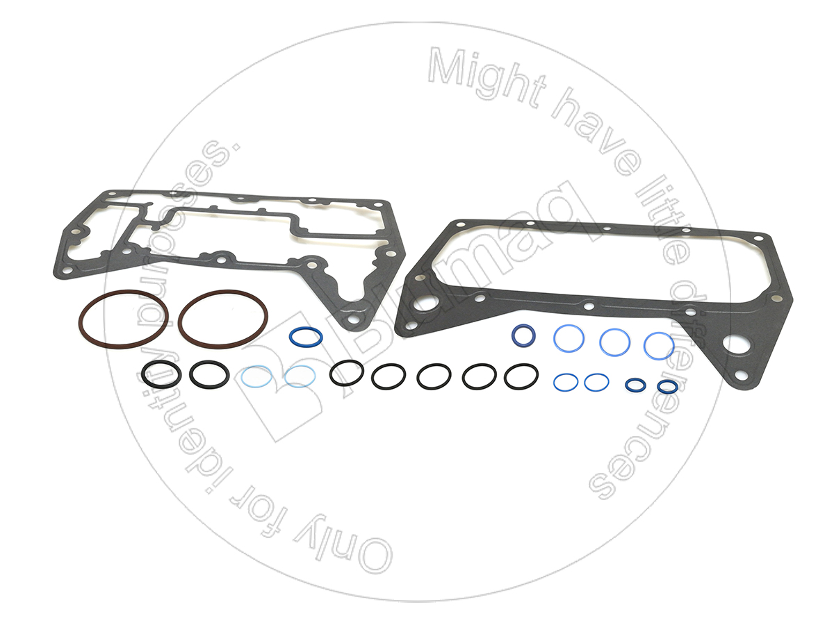 424-1361 Gasket Kit for BLUMAQ