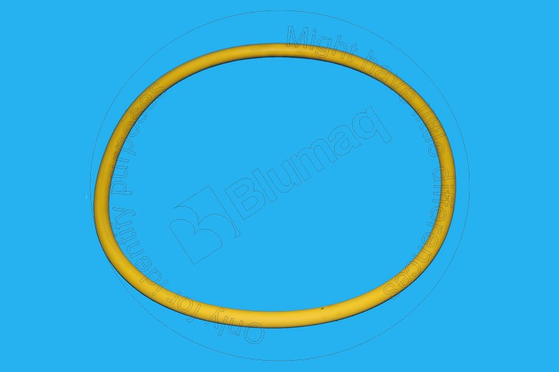 3P-1849 Seal O-ring for BLUMAQ
