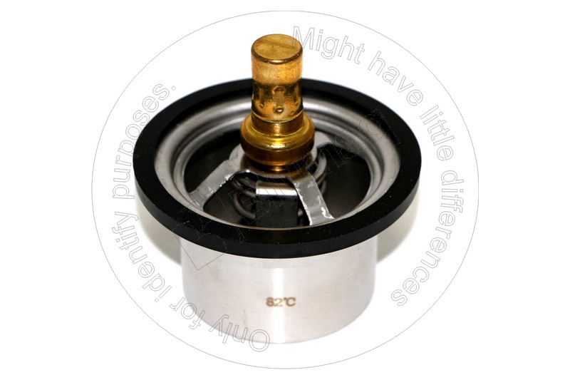 CS00180829 CASE Thermostat